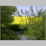 bilder/0210.jpg